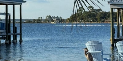 Alabama Income Tax: What Buyers on the Gulf Coast Should Know | Meredith Folger Amon