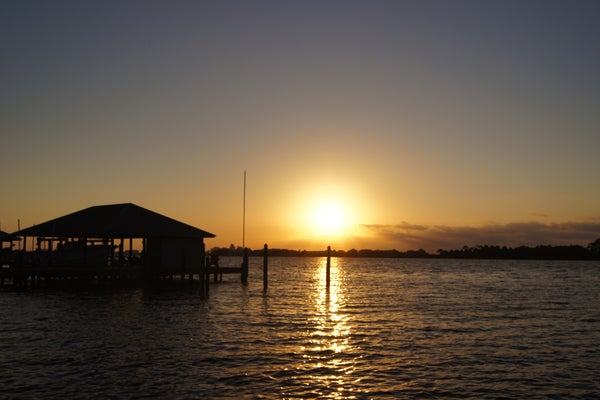 Ono Island Real Estate Market Update 2025 YTD | Sales, Prices, Inventory