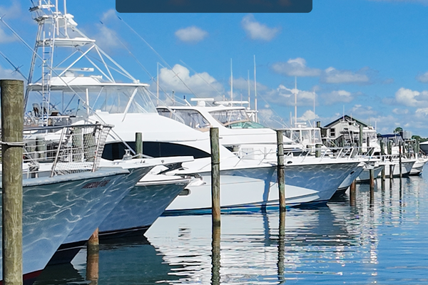 Beautiful Boats on Cotton Bayou