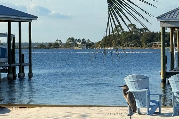 Alabama Income Tax: What Buyers on the Gulf Coast Should Know | Meredith Folger Amon