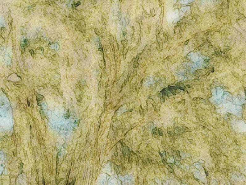 Fairhope Alabama Sotheby’s International Realty