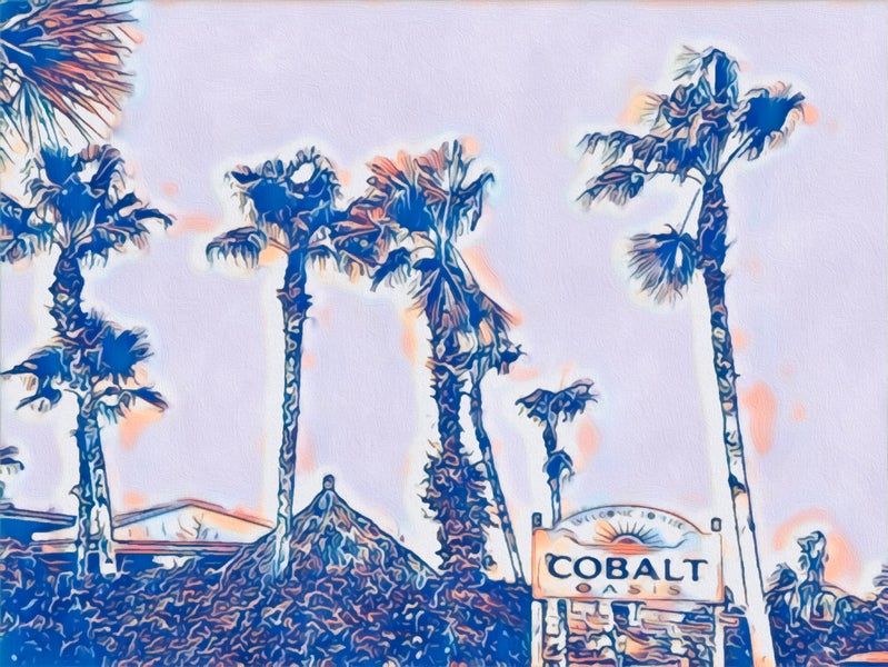 Cobalt restaurant orange beach alabama