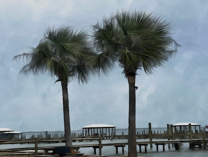 Orange Beach Alabama homes for sale