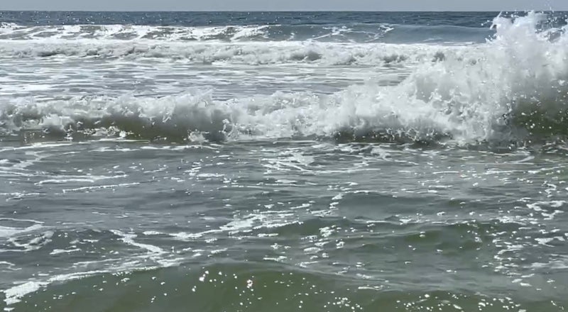 Gulf Shores, Alabama condominiums for sale in Beach Front