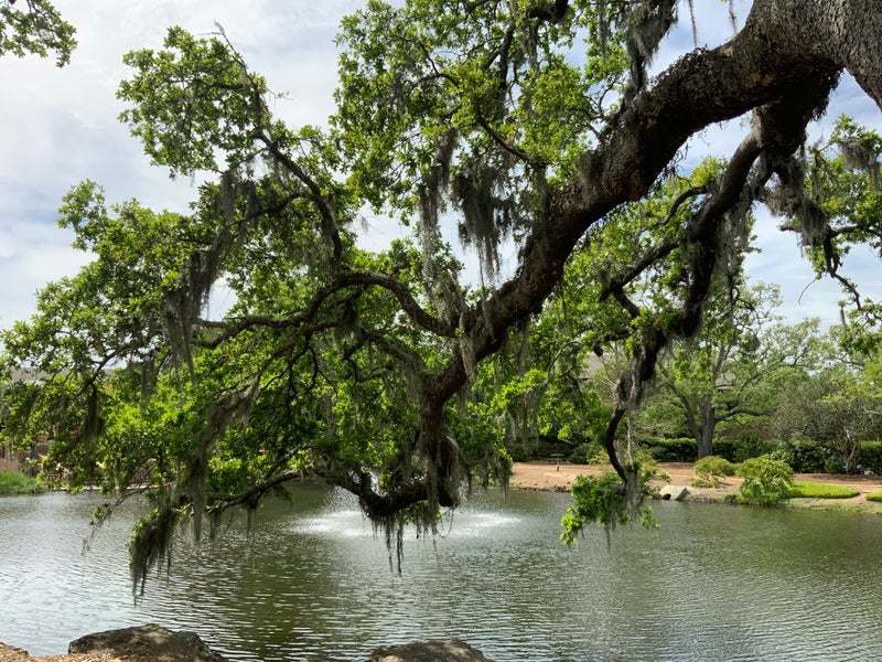 FAIRHOPE REAL ESTATE SOTHEBY'S