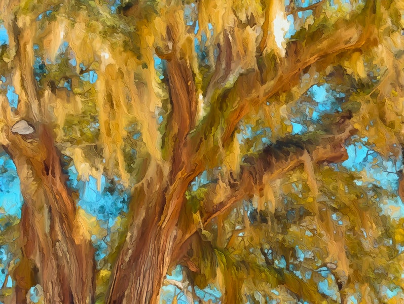 Homes for sale in Fairhope, Alabama