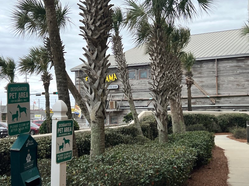 Phoenix X Condos For Sale Orange Beach, Alabama Phoenix Ten Near