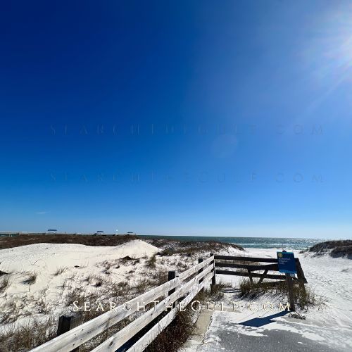 Welcome to Orange Beach, Alabama, the perfect place to be if you're looking to buy a condo! The Amon-Russo Team at Sotheby's International Realty offers a fantastic selection of condos in this popular beach side resort community.