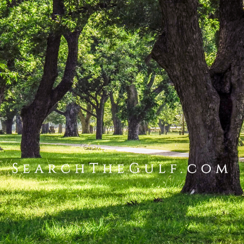 Fairhope Alabama Sotheby's International Realty