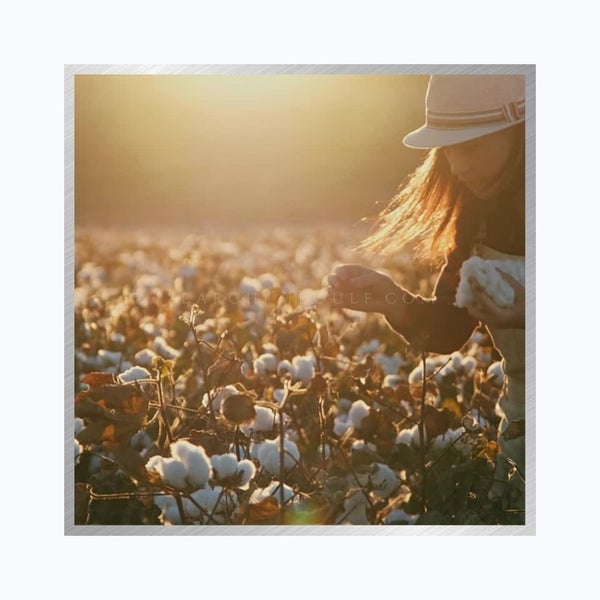 Welcome to the beautiful Gulf Coast, where The Amon-Russo Team of Sotheby's International Realty has the perfect home or condo waiting for you. Our team understands the area best, and we are dedicated to helping you find the perfect home for your needs.