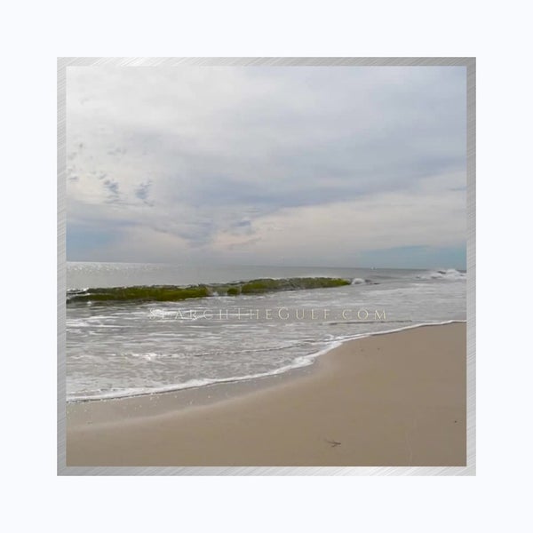 The Amon-Russo Team at Sotheby's International Realty offers the best selection of gulf coast homes and condos for sale. With our unbeatable expertise and local market knowledge, we can help you find the perfect property for your lifestyle and budget. Our