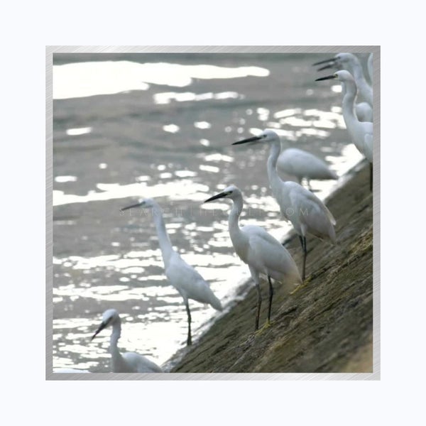 The Amon-Russo Team: Unlocking the Possibilities of Gulf Coast Real Estate