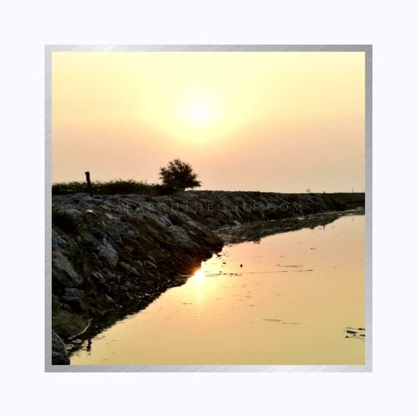 Experience Luxury Living on the Gulf Coast with The Amon-Russo Team.