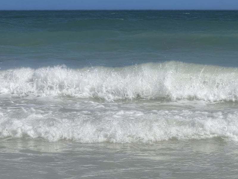 Condos For Sale on Ocean Orange Beach Alabama