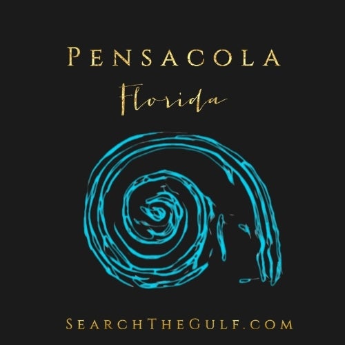 PNS Homes Real Estate For Sale Florida Sotheby's Realtors