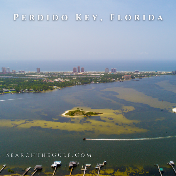 AmonRusso Team at Sotheby's International Realty Real Estate in