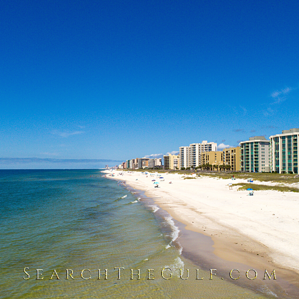 AmonRusso Team at Sotheby's International Realty Real Estate in