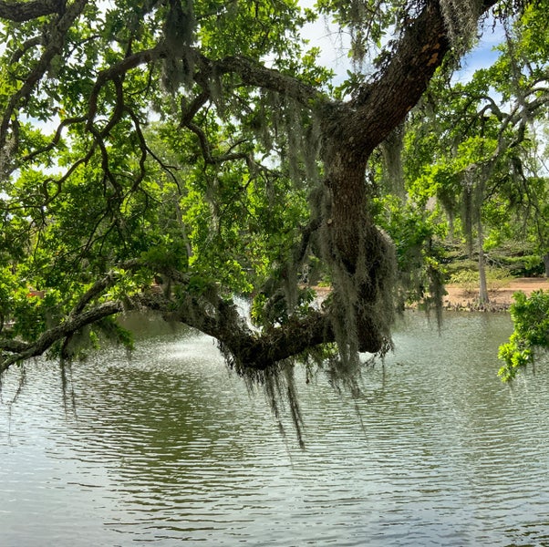 Lakewood Club Estates Point Clear Fairhope Alabama Homes Real Estate