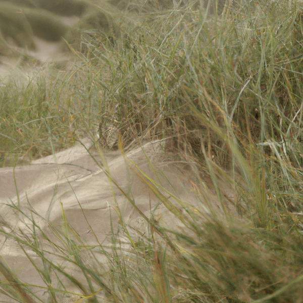 Investing in Gulf Coast real estate is a smart move, no matter what kind of property you are looking for. Whether it's an intimate beachfront condo or a luxurious ocean-front home, The Amon-Russo Team will help you find the perfect fit. With their experti