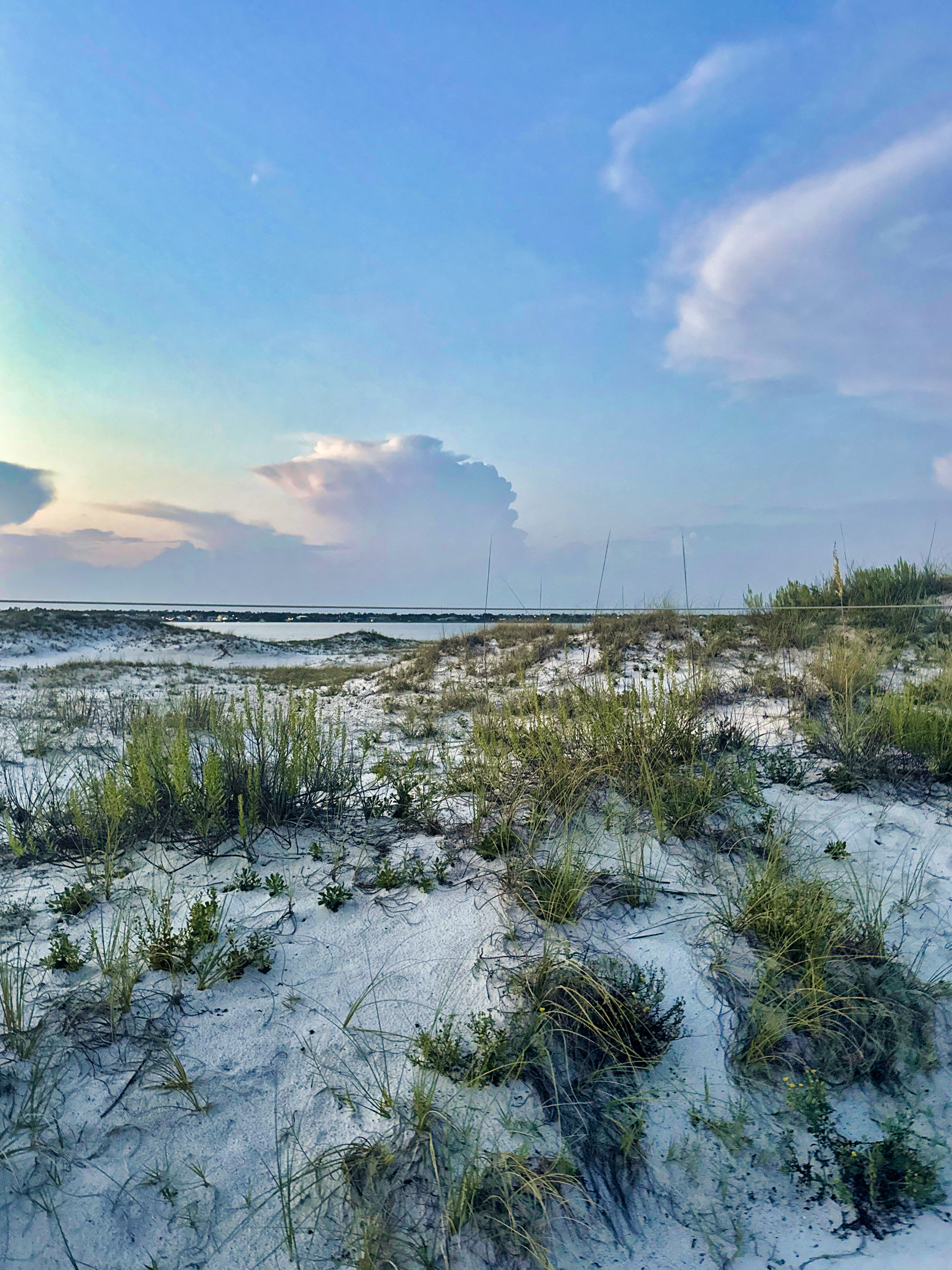 Why I Love Living on the Gulf Coast | Meredith Amon | Real Estate Information