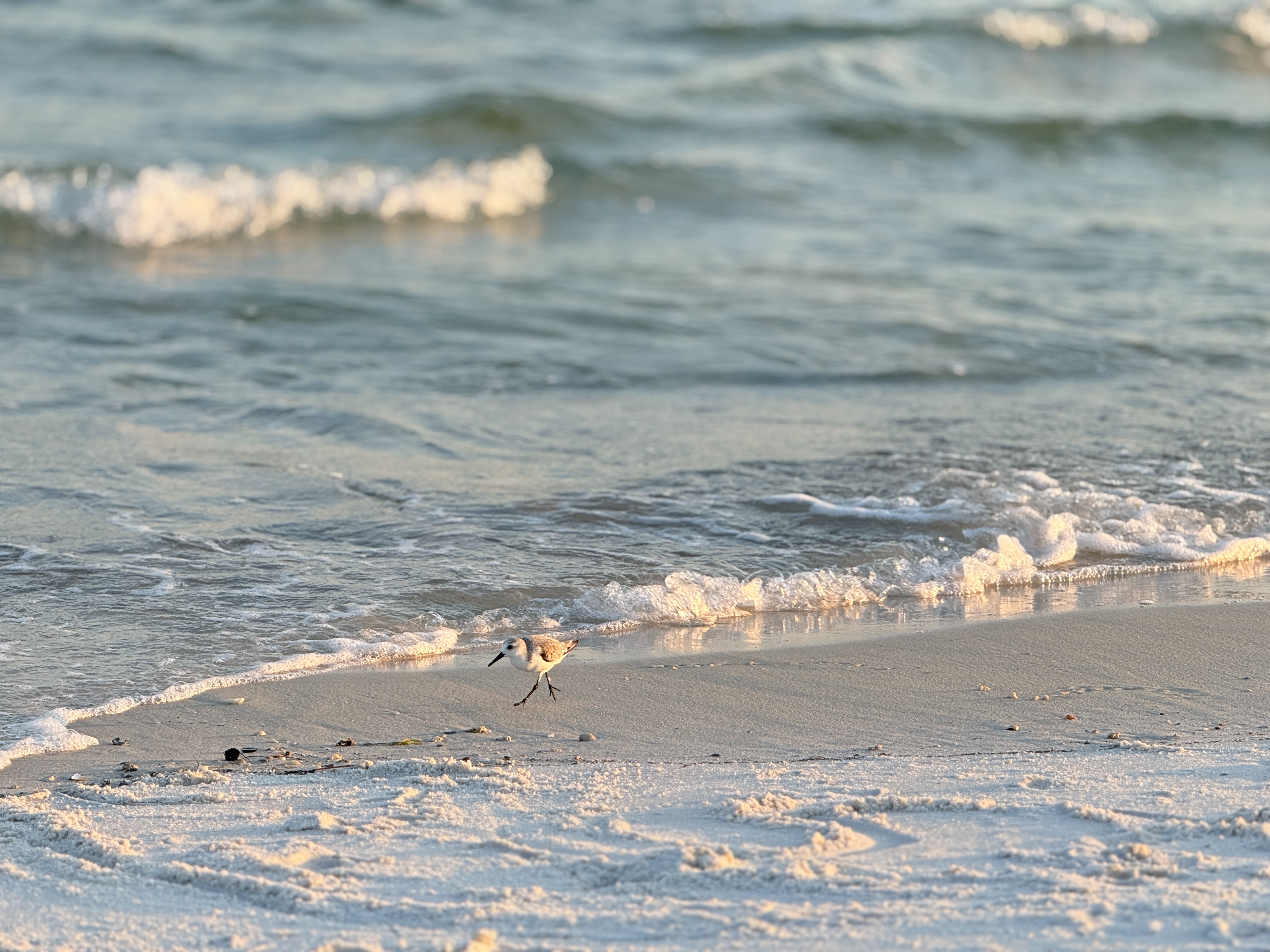 Luxury Living in Gulf Breeze & Navarre, Florida | Southern Coastal Homes
