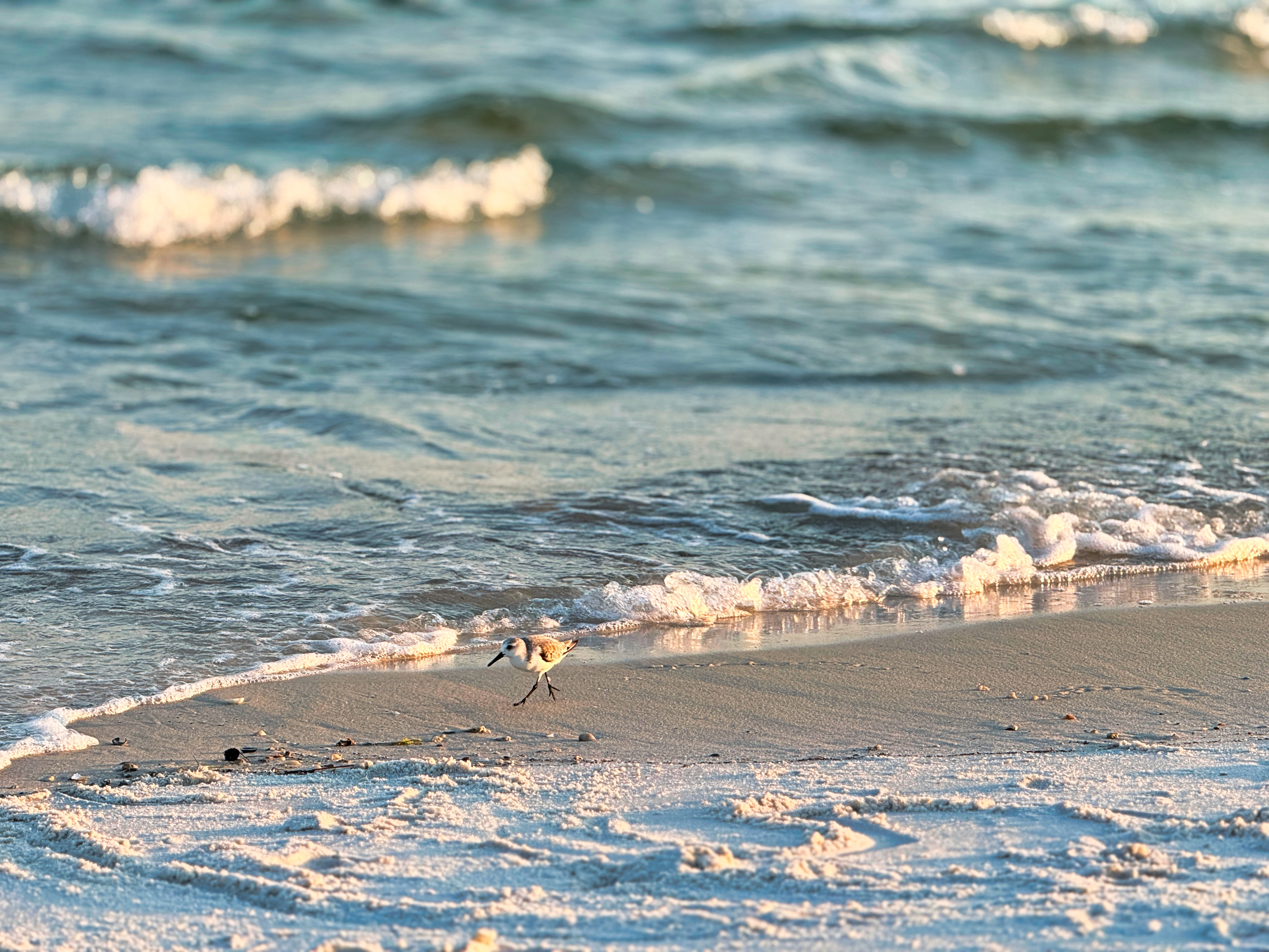 Perdido Key Neighborhoods to Watch — Meredith Folger Amon