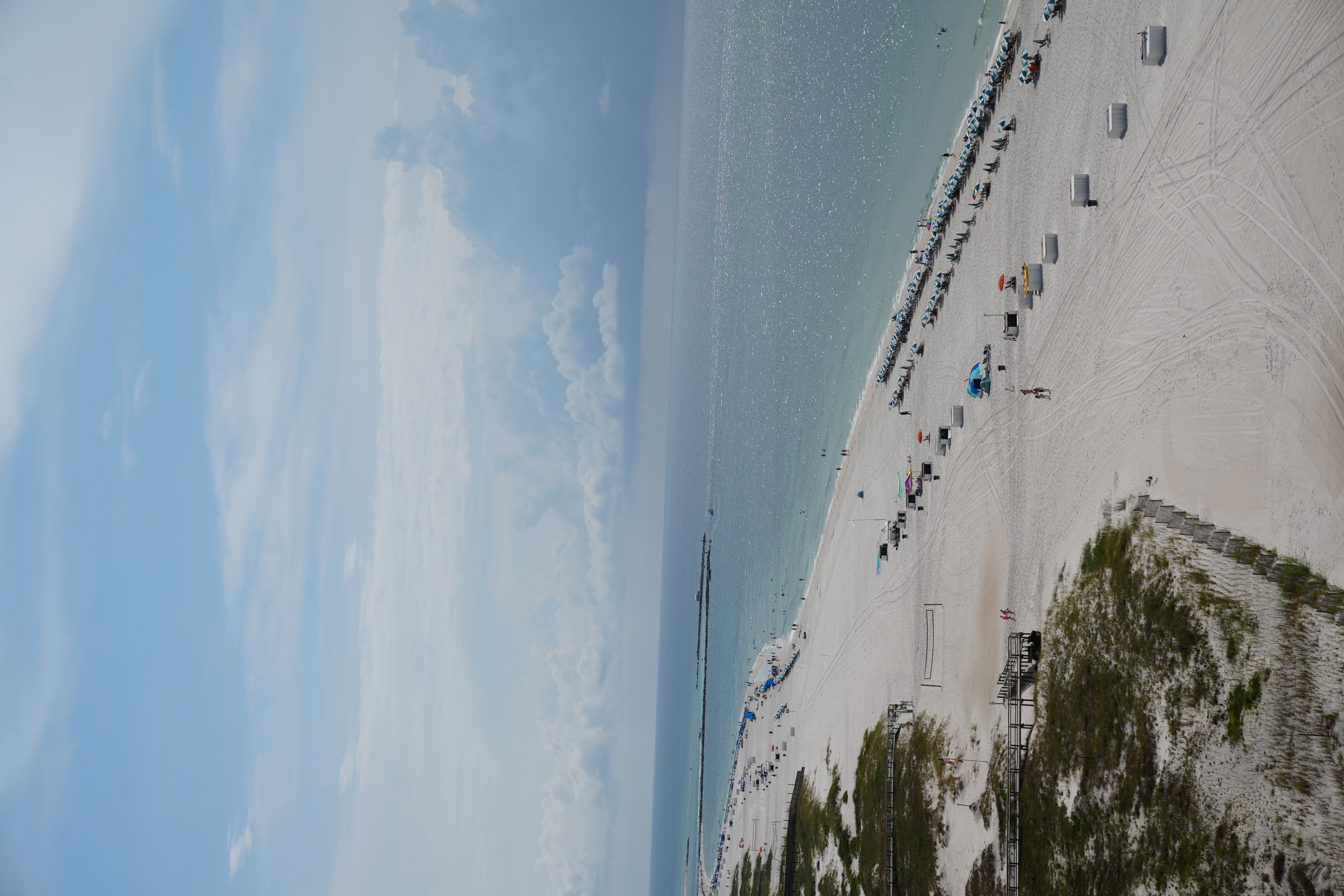 Alabama and Florida Property Taxes and State Income Taxes Homestead Examptions