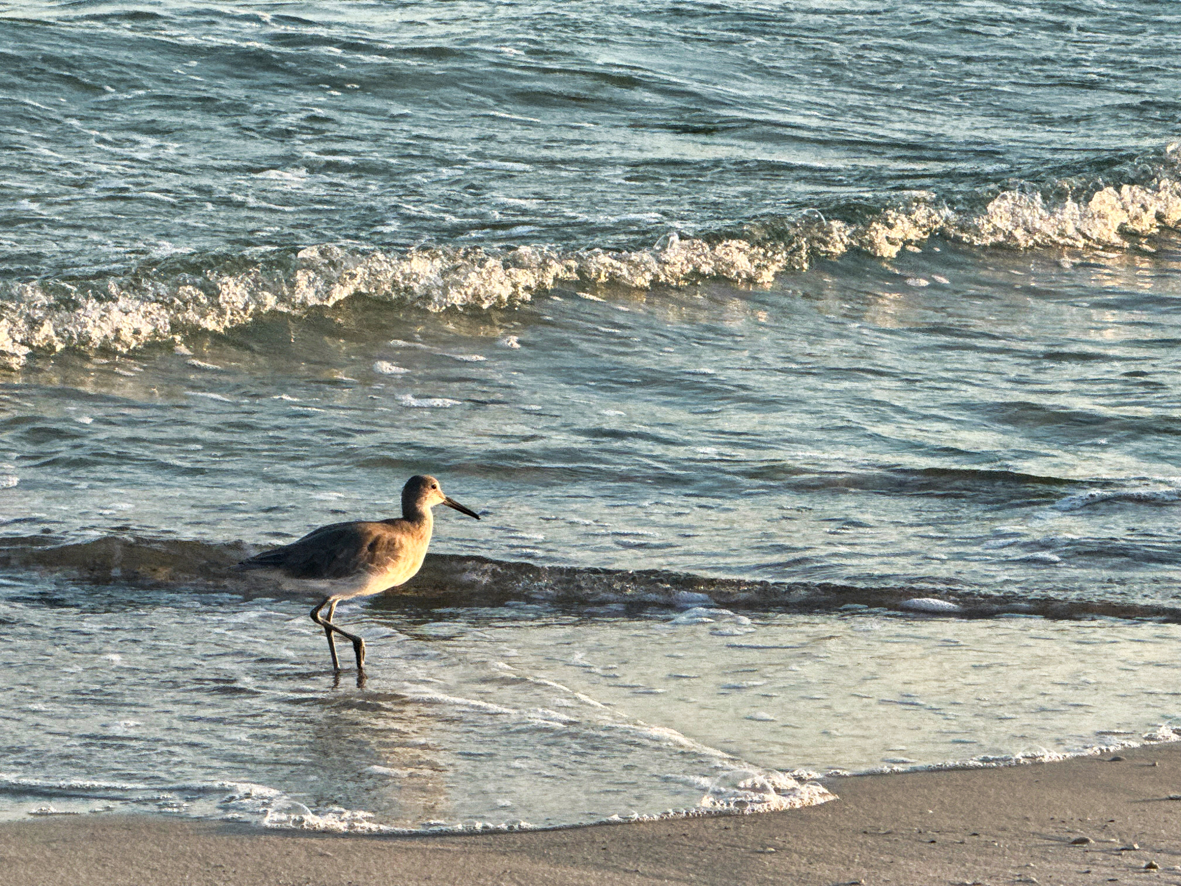 Orange Beach Gulf Shores 1031 Tax Deferred Exchanges