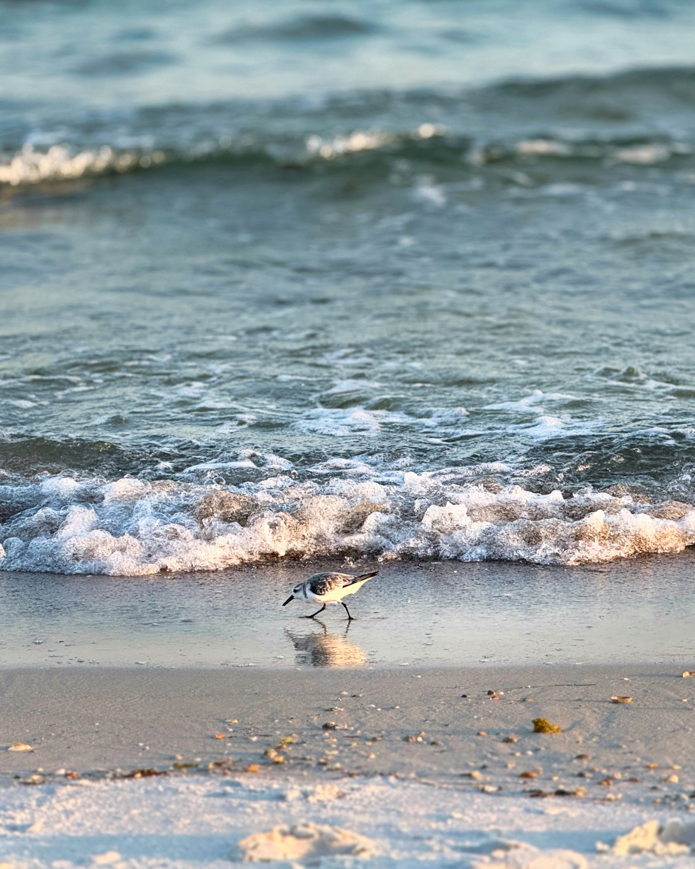 Perdido Key Homes For Sale