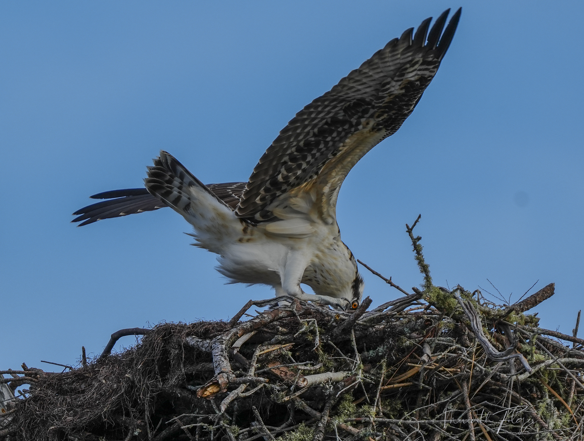Osprey Ono Island Boat Launch Real Estate