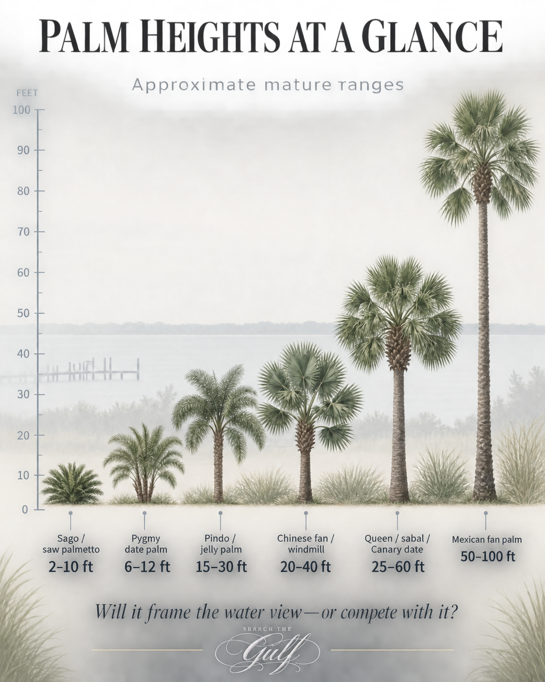 Ono Island Palm Trees Ono Island Palm Trees