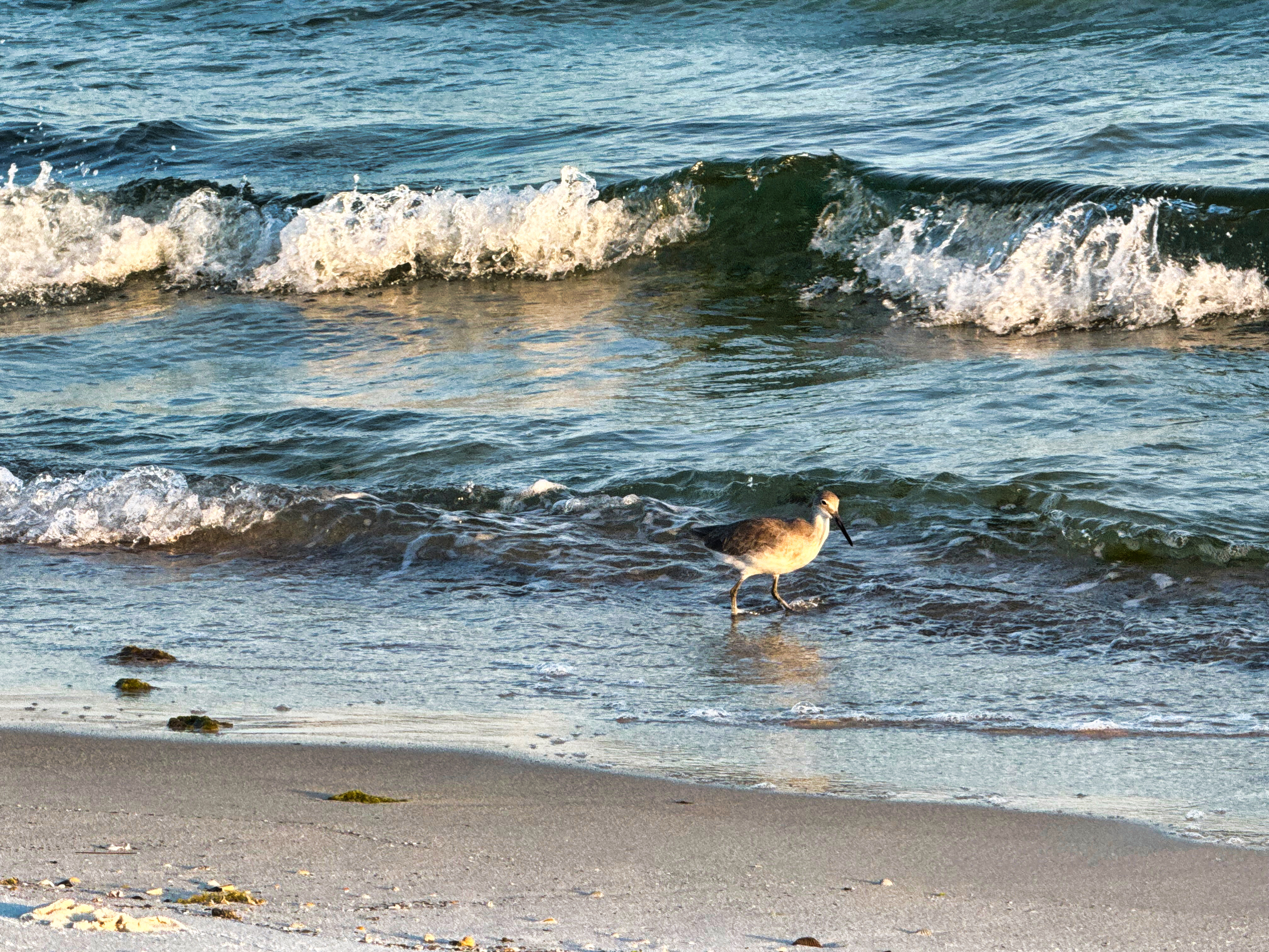 Gulf Breeze Florida Homes For Sale