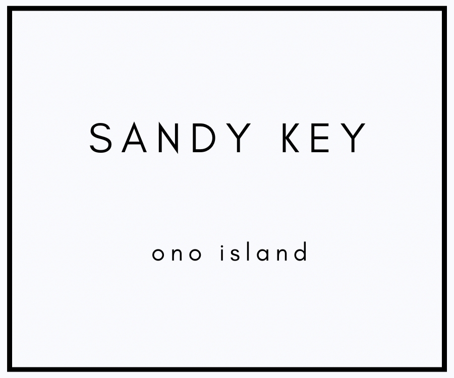 Ono Island Shoalwater Drive