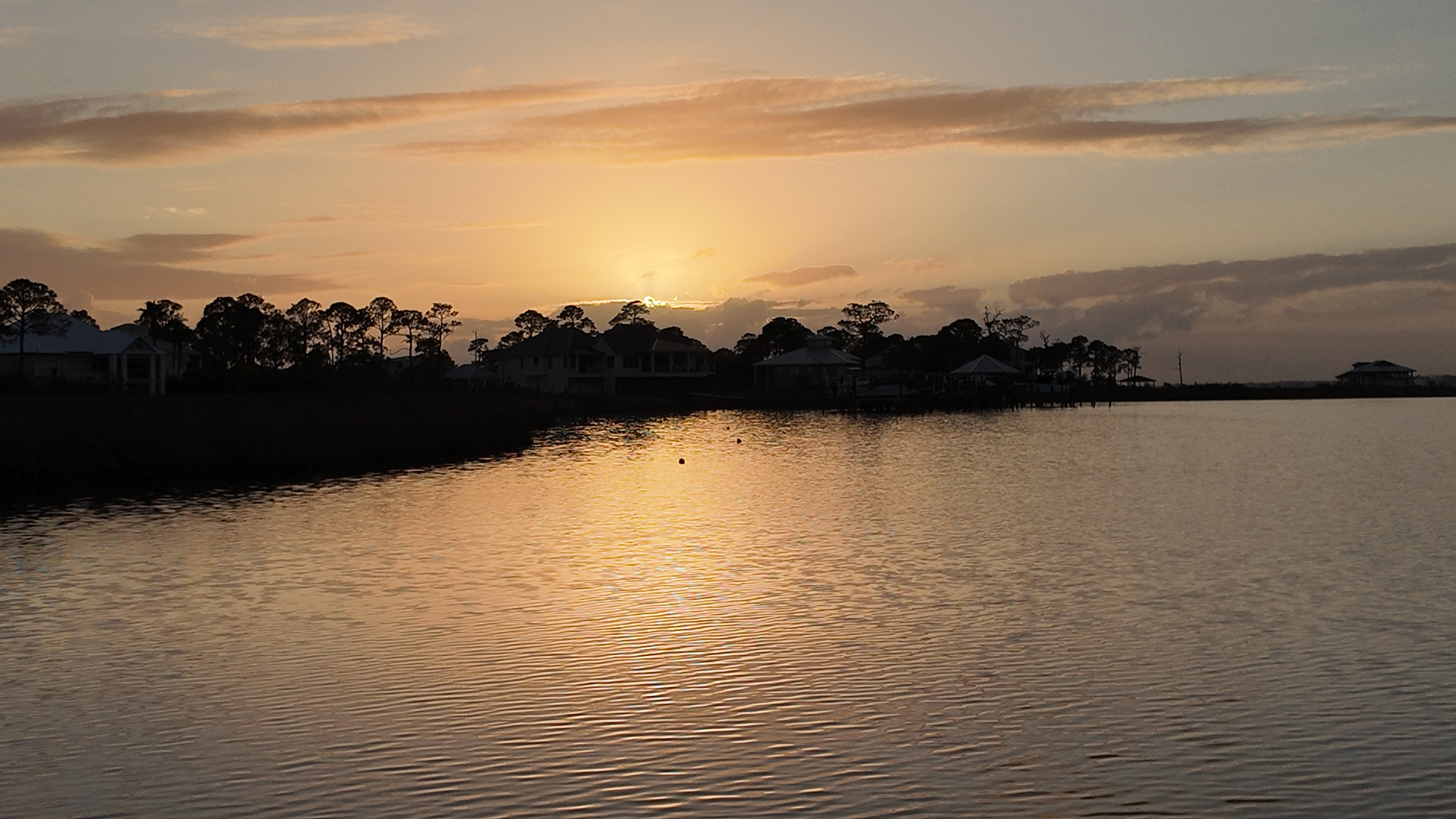 seawalls_seagrass_ono_island_orangebeach_alabama