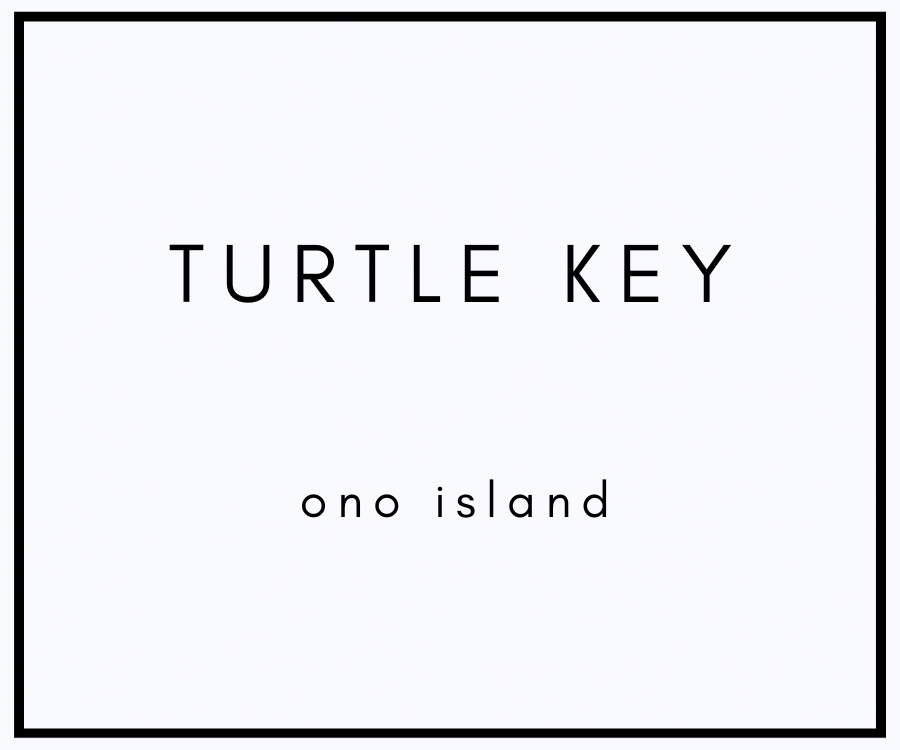 Ono Island St. John Drive Orange Beach Alabama Homes For Sale
