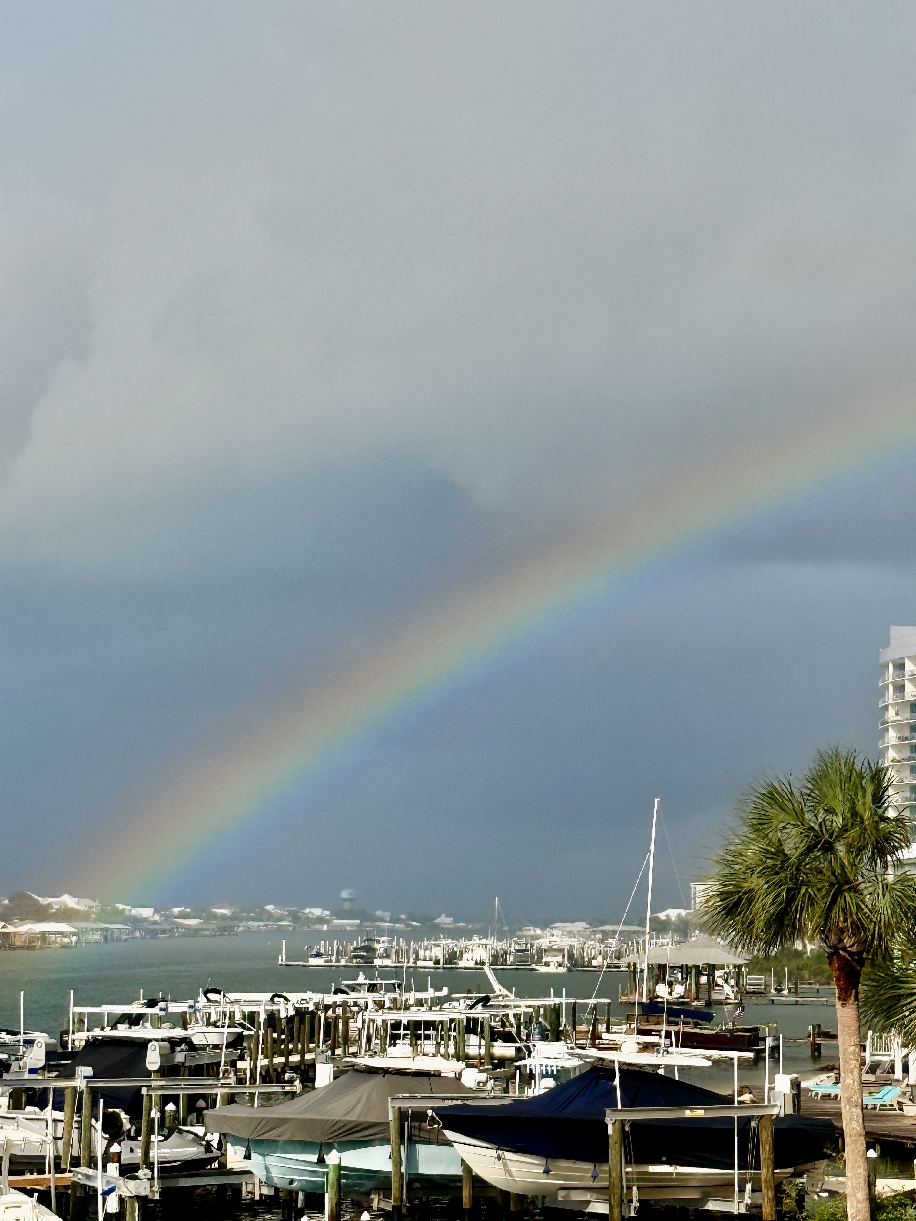 Vista Bella Condos For Sale Orange Beach Alabama