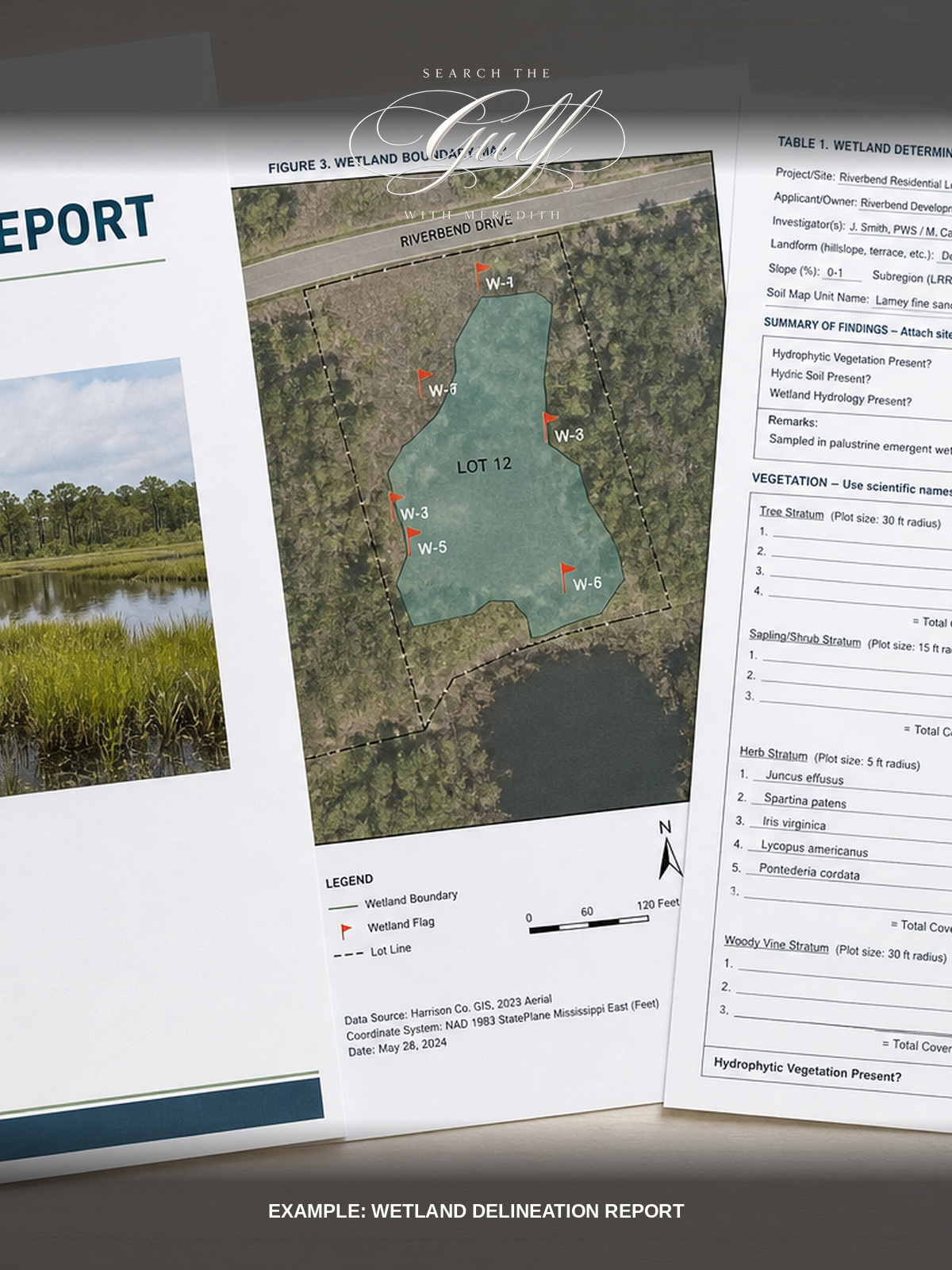 Example wetland delineation report documents