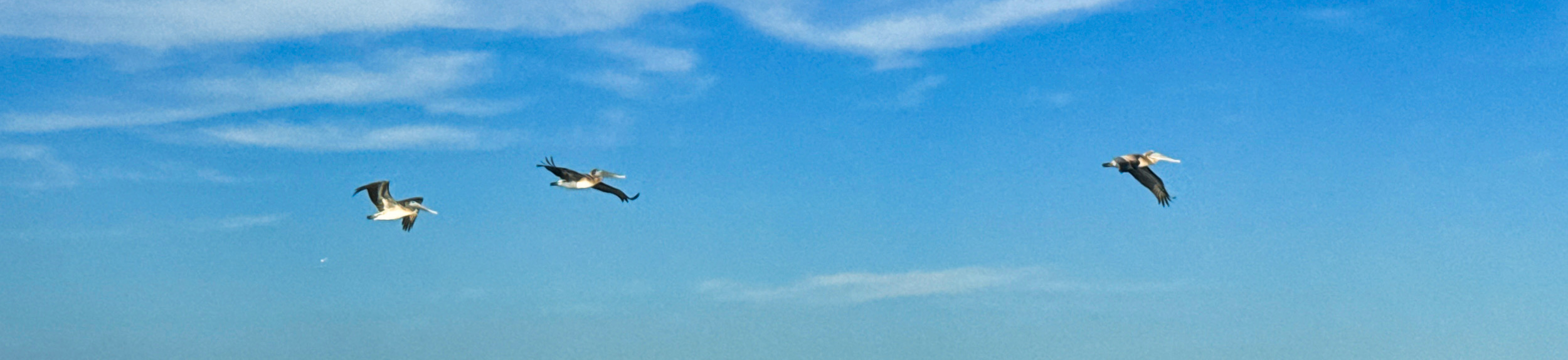 Gulf Coast Condo Buyer’s Guide: Key Questions After You’re Under Contract