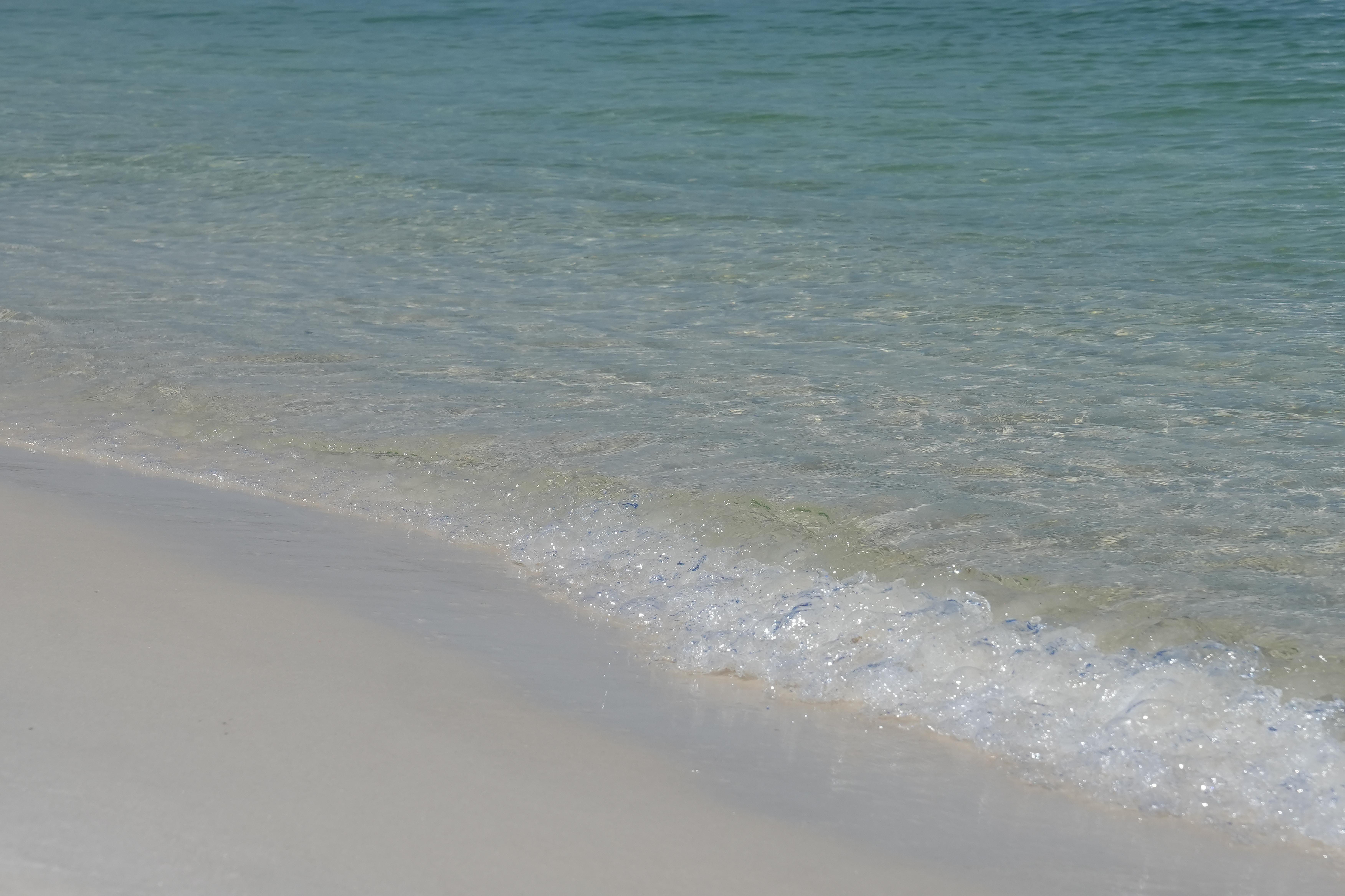 Building a Coastal Contemporary Home on a Monolithic Slab in Orange Beach & Ono Island