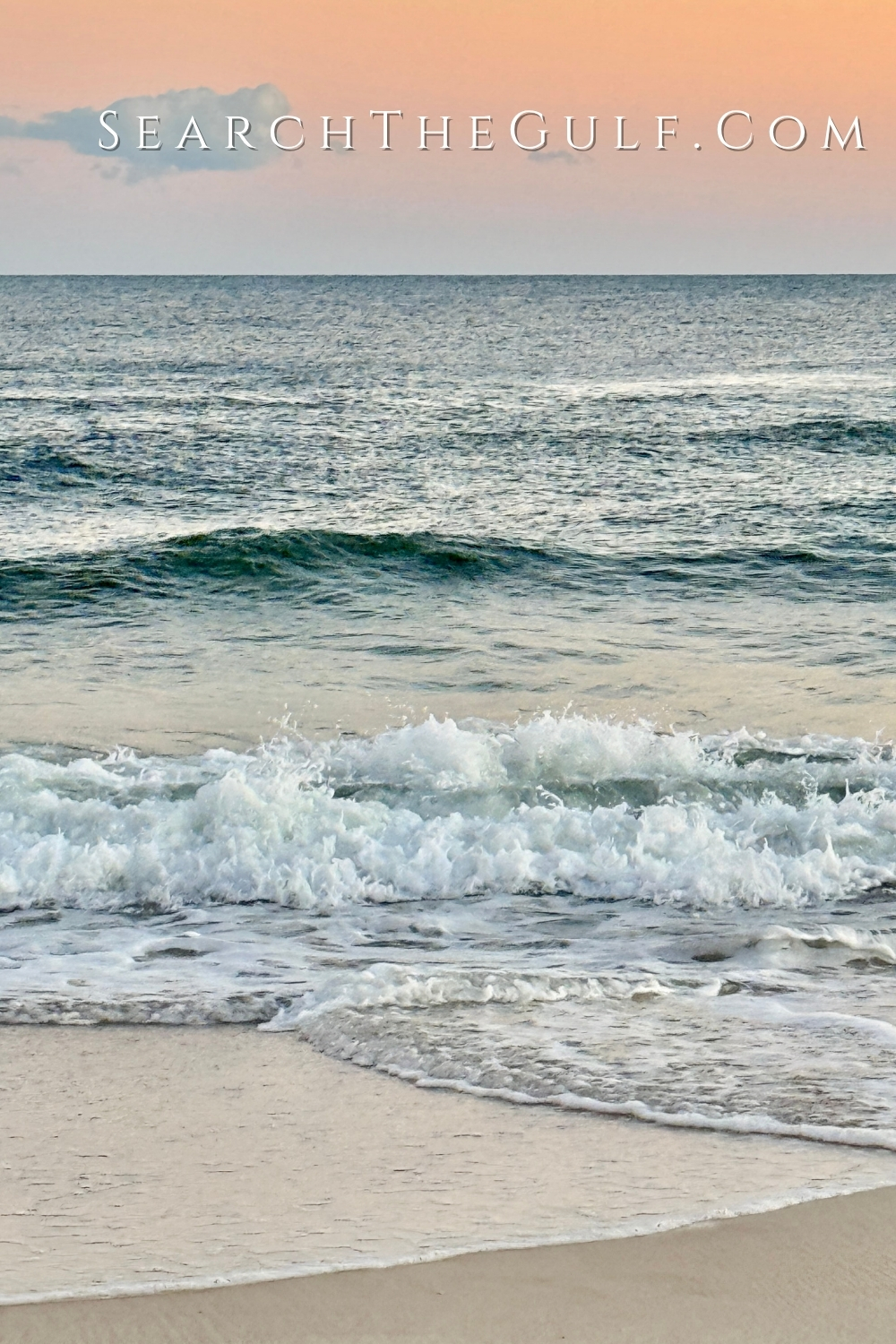 Perdido Key Beach Mouse and New Construction Homes